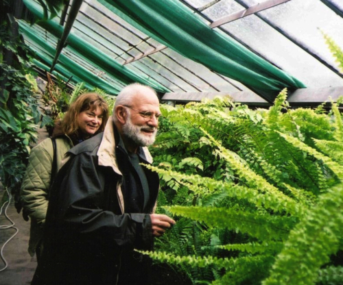 Oliver Sacks and Kate Edgar with ferns