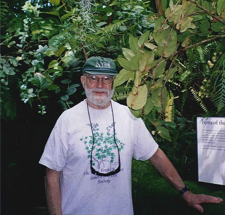 Oliver Sacks amongst the ferns at New York Botanical Garden