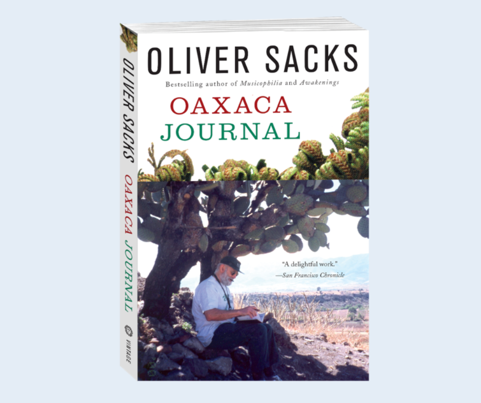 Oaxaca journal cover