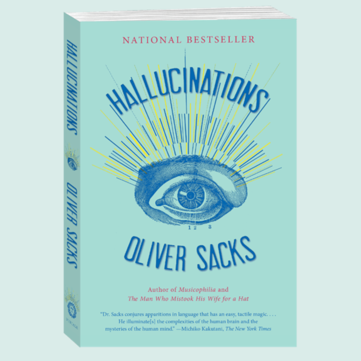 Cover of Hallucinations