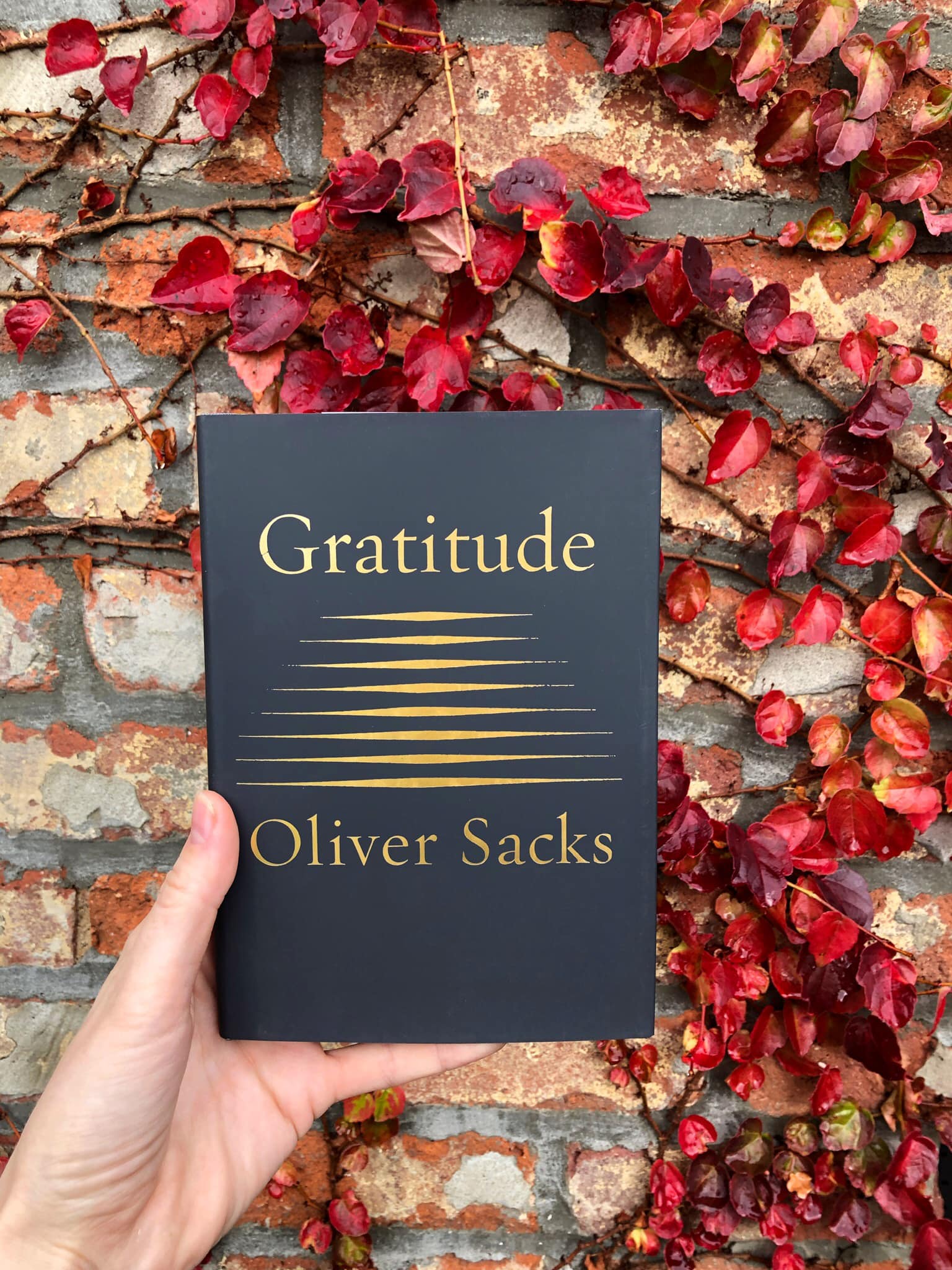 Cover of Gratitude