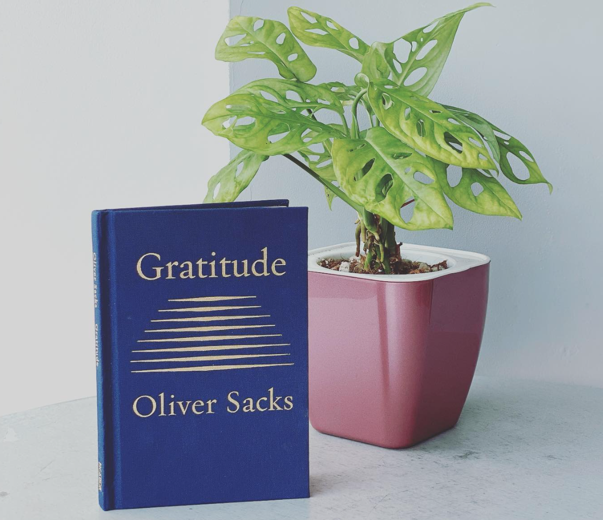 Cover of Gratitude